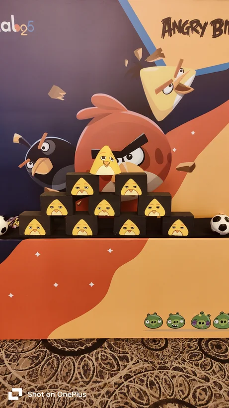 Angry Bird game target wall prepared for guests at a Kanpur celebration