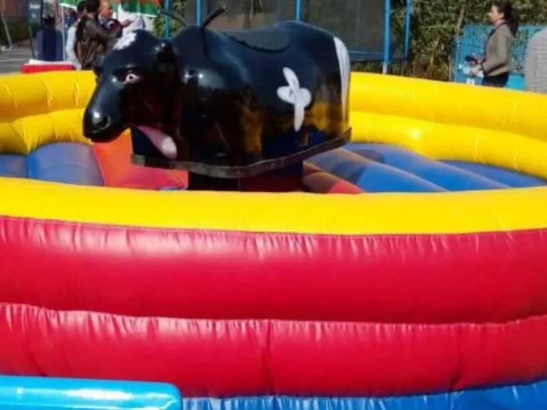 Guests enjoying bull ride game during a Chandigarh celebration