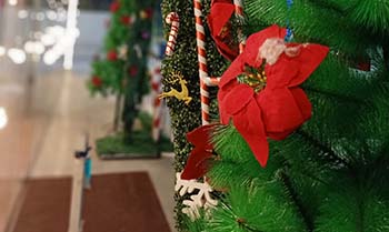 corporate christmas party in delhi ncr