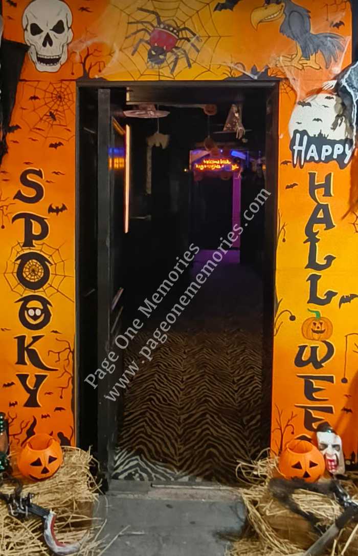 Halloween party in gurgaon, Halloween party near me, Halloween party decor in gurgaon, customer Halloween gurgaon, Halloween party props gurgaon, Halloween decor themes gurgaon, costume party Halloween gurgaon, scary Halloween party gurugram, Gurugram, Gurgaon
